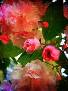 Leah Moore - Peaceful Petals